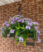 Lovely Lush Lavender Hanging Planter 
