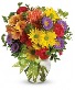Lovely Ma’am  Fresh flowers various bright colors