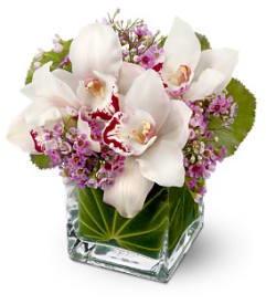 Lovely Orchids  All-Around Floral Arrangement