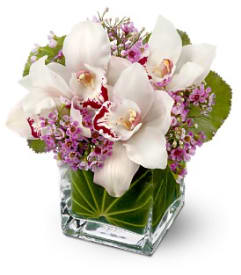 Lovely Orchids All-Around Floral Arrangement