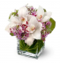 Lovely Orchids  Small Cube vase 