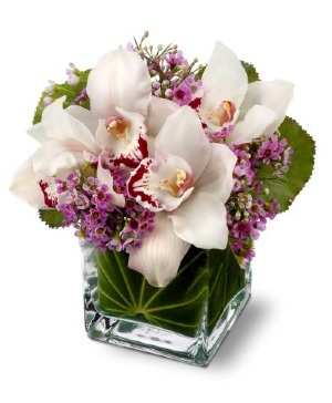 Lovely Orchids (orchid color may vary) 
