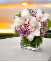 Lovely Orchids Small Cube Vase Vase Arrangement