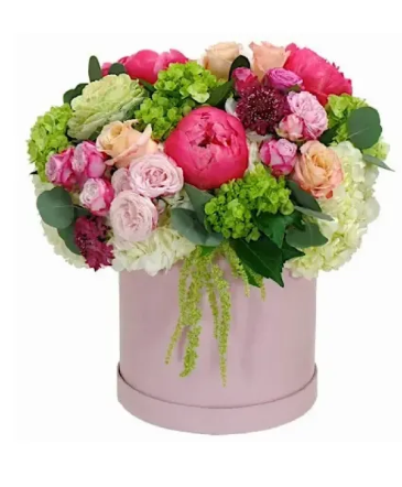 LOVELY POSH   in Williamsburg, VA | Blessing and Blooms Florist
