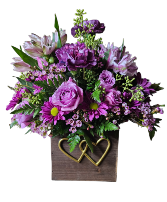 Lovely Purple  Any Occasion