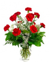 Lovely Red Bouquet 1 Dz Red Carnatoions Arrangement
