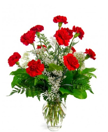 Lovely Red Bouquet 1 Dz Red Carnatoions Arrangement