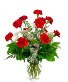 Lovely Red Bouquet 1 Dz Red Carnatoions Arrangement