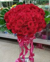 Lovely red roses 