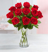 Lovely Roses 
