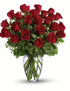 Category Image