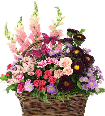Mother’s Love BLOOMIN’ Butterfly Basket  in Coleman, WI | COLEMAN FLORAL & GREENHOUSES