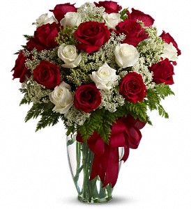 Love's Devine T11Z101 PREMIUM ROSES in Fort Worth, TX | DAVIS FLORAL DESIGNS Love's Devine T11Z101 PREMIUM ROSES in Fort Worth, TX | DAVIS FLORAL DESIGNS