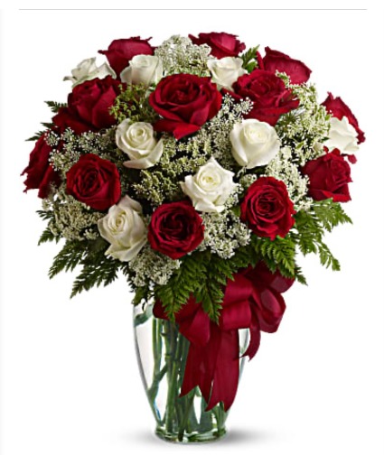 Love's Divine Red and white roses