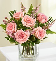 Loves' Embrace   Pink Roses
