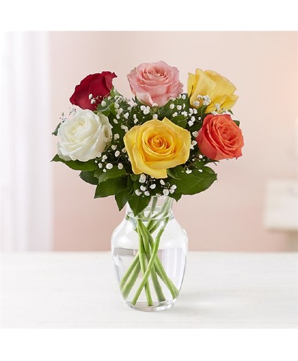 Love's Embrace Assorted Roses 
