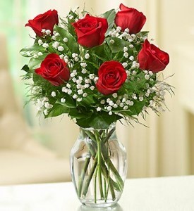 Loves Embrace Red Roses