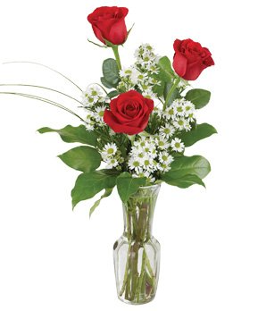 Love's Embrace Vase arrangement