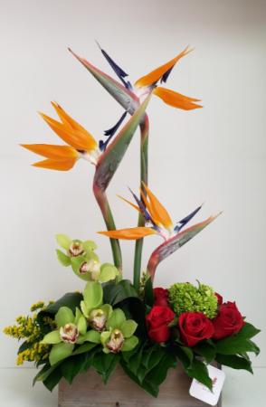 Loving Bird of Paradise Love Arrangement in San Juan, PR | ELIKONIA FLOWERS