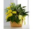 Purchase this funeral home arrangement
