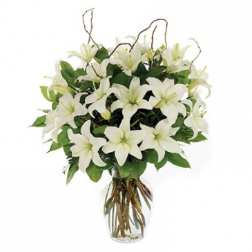 Classic White Lily Sympathy Arrangement in Croton On Hudson, NY | Cooke's Little Shoppe Of Flowers