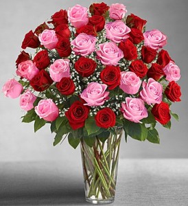 Loving Passion Red and Pink Premium Roses Entwined