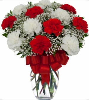 Loving Red and White Carnation Vase  Vase Arrangement