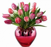 Loving Tulips Pastel tulips