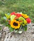 Low Fall  compact arrangement 