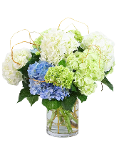 Lowcountry Clouds Fresh Arrangement 