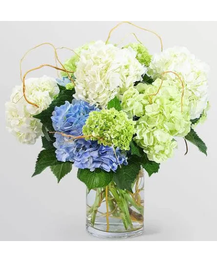 Lowcountry Clouds Fresh Arrangement
