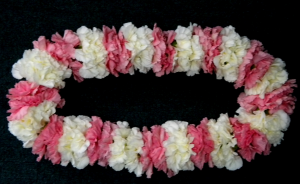 LT. PINK/WHITE CARNATION LEI GRADUATION LEI