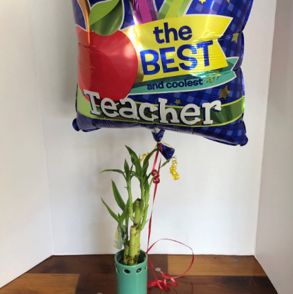 Lucky Bamboo + Mylar Balloon