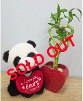 Lucky in Love Plant Bundle