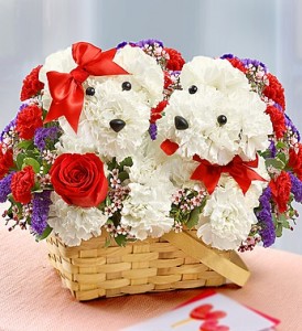 Lucky in Love Valentine's Day