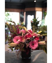 Lucky Stars  Locally Grown Lilies