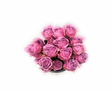 Luscious Lavender Roses Wrap arrangement