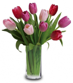 LUSCIOUS TULIPS tulip arrangement