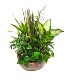 Purchase this funeral home arrangement