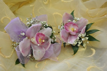 Lush Lavender