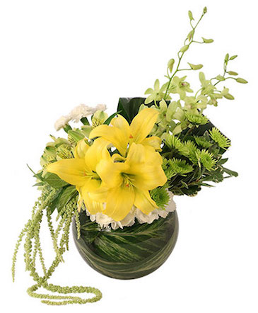 Lush Lilies & Dendrobiums Floral Design in Santa Clarita, CA | Rainbow Garden And Gifts