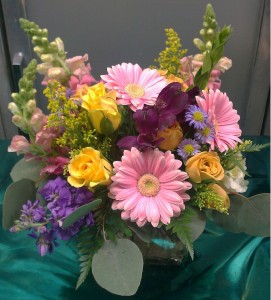 Lush Spring