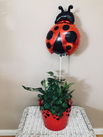 Luv bug Planter garden
