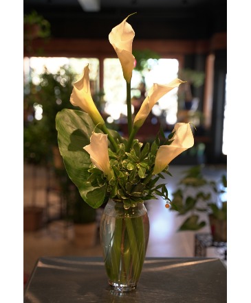 Luxe Lillies  Calla Lily Design  in South Milwaukee, WI | PARKWAY FLORAL INC.