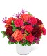 Luxe Paradise Flower Arrangement