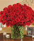 luxurious bouquet of 100 romantic long-stem red  ROSES