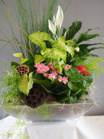 Luxurious Dish Garden Flowering and Green Plants
