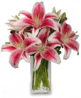 Luxurious Lillies  Bouquet