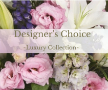 Luxury Collection Designer's Choice 