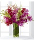 LUXURY DENDROBIUM ORCHIDS 
